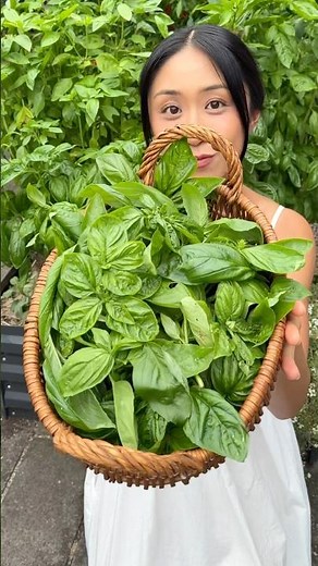 How to grow an endless supply of basil 🌱 #gardening #homegrown #basil