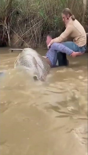 MONSTER Catfish Tries to EAT HUMAN ALIVE! (Real Footage)😱#shorts #fishing #monster #survival #nature