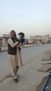 56K views · 2.1K reactions | Falconer calls his passage Goshawk to the fist. A call, an encourage flight, and how the bond is being made. #Falconry #Goshawk ##Pakistan | Pakistan Falconry Association | Facebook