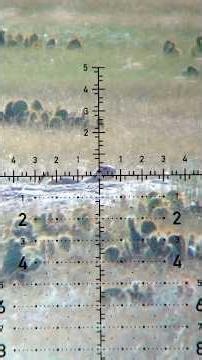 Prairie Dog Hunt with Sun and Shadow #hunting #precisiongasgun