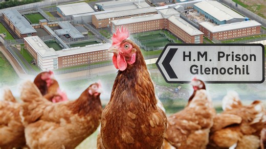 Jail chiefs in a flap over 'unregistered' chickens tended by pervs amid new law