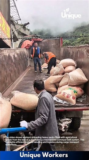 Cargo Unloading: Workers Using Conveyor Belt to Unload Sacks from Truck