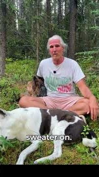 Newsflash: Dogs don't like wearing clothes
