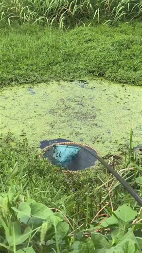 Cast Net Fishing Techniques for Stunning Catches