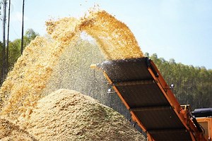 Energia da biomassa, conheça o potencial no Brasil