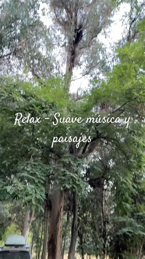 Paisajes y música para inspirar y recordar que la naturaleza es Sanadora #inspiration #tranquility