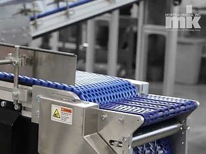 Plastic Modular Belt Conveyor with Transfers