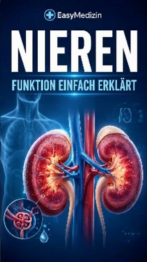 Your kidneys filter your blood – but barely anyone knows THIS!
