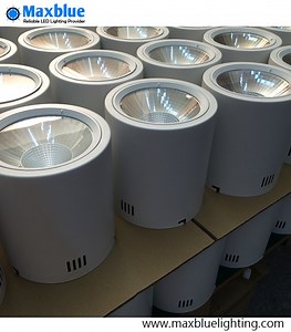 [Hot Item] 30W Surface Mounted LED Ceiling Downlight