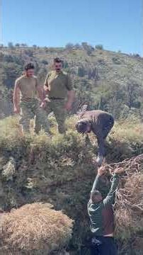 ΤΟ ΠΕΡΑΧΩΡΙ ΕΙΝΑΙ ΕΝΑ!!!!!ΑΡΦΑΝΟΣ.ΠΑΝΑΓΙΑ