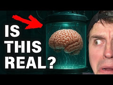 Startup Using Human Brain Cells to Build A.I. (The FinalSpark Project)