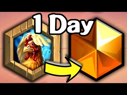 How to Reach Legend in 1 DAY - Hearthstone