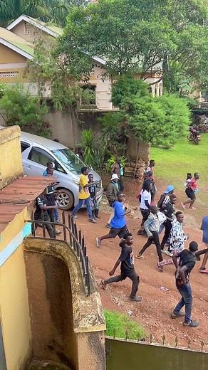 Alien Skin's Journey: Released from Prison Insights