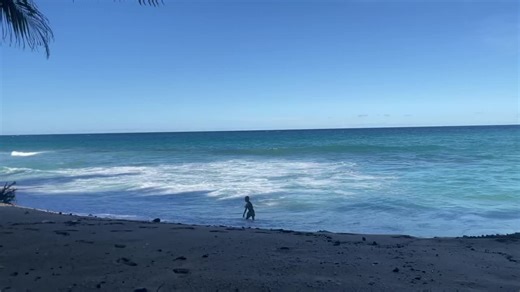 immanuela (@immanuelavt)’s videos with original sound - immanuela