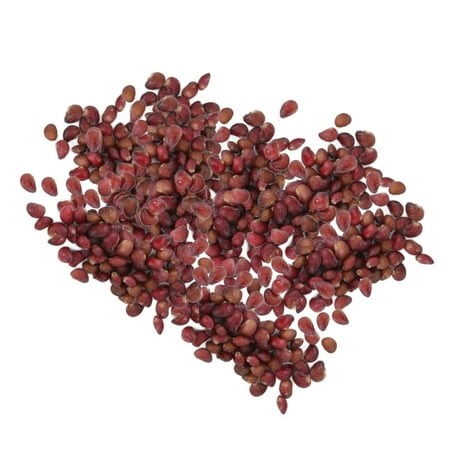 Strawberry Seeds Edible Strawberry Plant Seeds for Home Furnishings Home Gardening Balcony - Walmart.ca