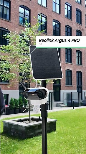 Solar Panel Security Camera Argus 4 Pro #wificamera #reolink