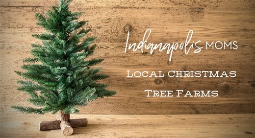 Spruce up your home, fir real: Local Christmas Tree Farms