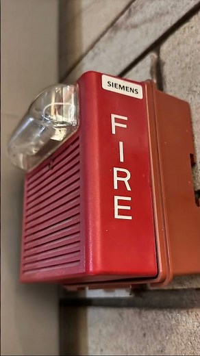 How every Fire Alarm Sounds!😂 #helpmemakethismakesense #funny