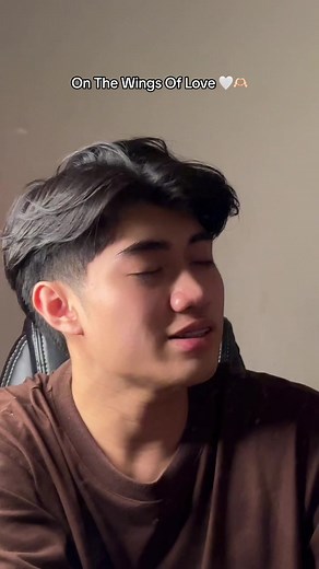 On The Wings Of Love - Heartwarming Song and Cover Compilation