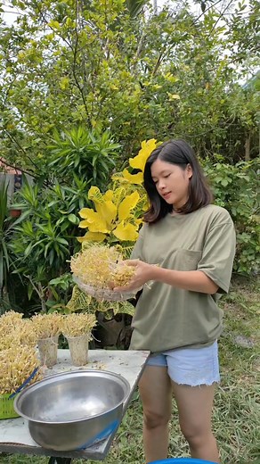 Easy Guide to Sprouting Mung Beans at Home