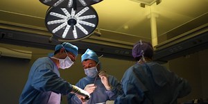 Scientists think they found a new human organ—a fluid-filled “shock absorber”