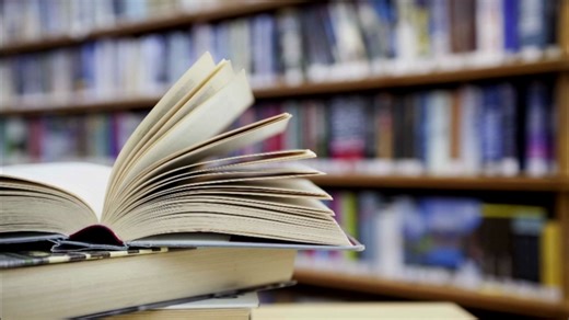 Lawmaker criticized after reading explicit content during debate on library material