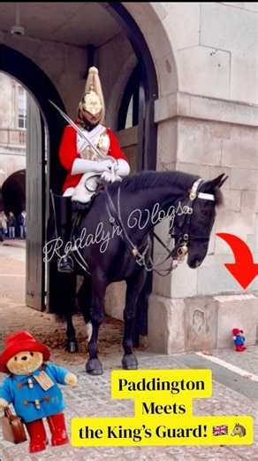 Even Paddington Couldn’t Resist the King’s Guard 🐻👑