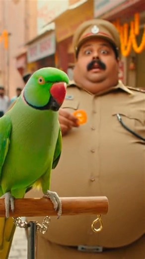 Parrot ne diet pe rehne ko bol diya!😂#parrotcomedy#talkingparot#shorts#parrot#funnyanimal#trending