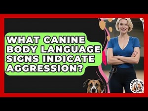 What Canine Body Language Signs Indicate Aggression? - Animal Care Jobs