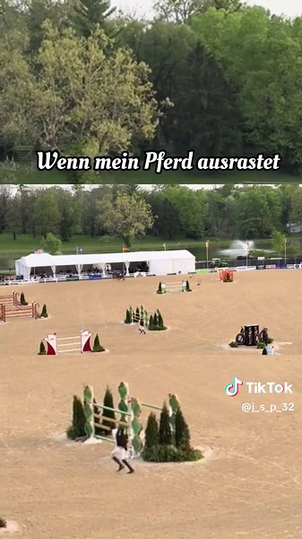 Wenn mein Pferd #pferd #pferde #pferdemädchen #pferdeliebe #pferdeliebe #pferdevideo #pferdetiktok #pferdewelt