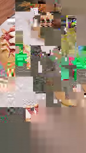 386K views · 1.8K reactions | I bet it's the best appetizer recipe...