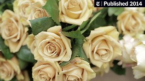 How to Arrange Flowers, the Brooklyn Way