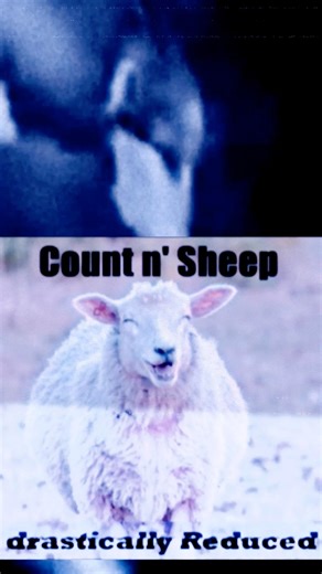Count n' Sheep (2026 remix) #punk #rock #music