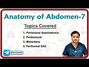 Anatomy of the Abdomen (Part - 7) : Portocaval Anastomosis, Peritoneum, Mesentery & Peritoneal Sac.