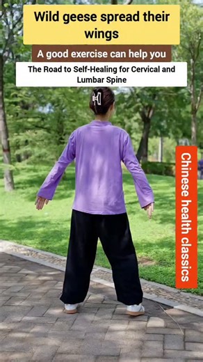 Warrior Tai Chi on Instagram: "A Simple Full-Body Workout Routine for Strength, Balance, and Daily Fitness. #chestworkout #chestday #shoulders #neckpain #bone #health #exercise #fbreels #reelsfb"