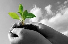 About Disha College of Management and Technology | Admissions 2021