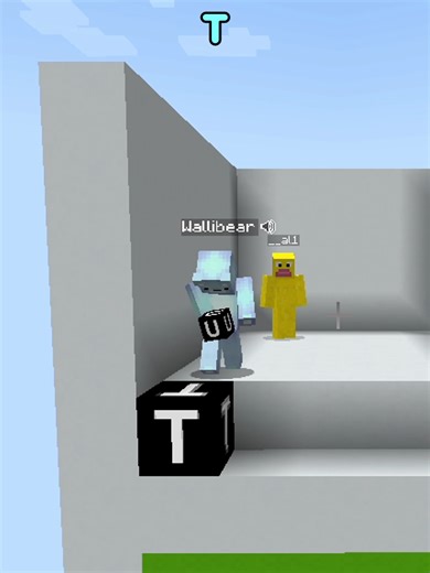 just blank #Minecraft #gaming #minecraftmemes #wordmatch #cheappickle | cheappickle