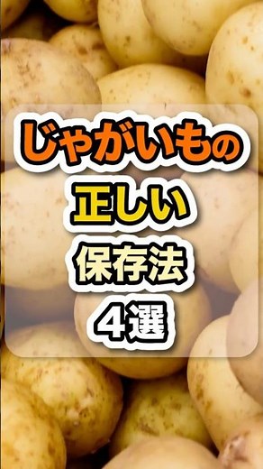 芽・変色・シワを防ぐ ジャガイモ長持ち保存のコツ #健康 #雑学 #栄養