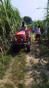 #kisan #farming #farmer #agro #agriculture #VillageLife | Kisan Farming