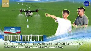 Farmers in China have seen their incomes grow under far-reaching rural and agricultural reforms over the years. The development of high-standard farmland and new collective economy play important roles in the reform. Check it out with reporter Zheng Songwu in Meishan in southwestern Sichuan Province. #DeepeningReform #3rdplenum | CGTN Frontline