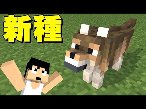 新色のオオカミがきたぁぁぁぁ！！【マイクラ】