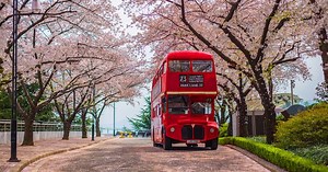 A Perfect Guide to Daegu E-World & 83 Tower Observatory - Trazy Blog