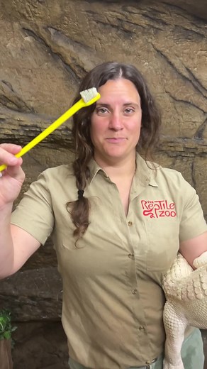 215K views · 4.4K reactions | Albino Alligator "Coconut" Gets A Bath! 殺 | The Reptile Zoo | Facebook