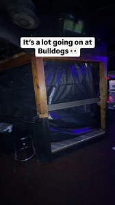 276K views · 1.6K reactions | Bulldogs got a dark room now?? Maybe that will keep the cherun from fighting lol 來 | Calvin Shannon | Facebook