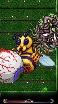 Queen Bee | Terraria Bosses #terraria #terrariabosses #terrariatips