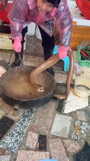 Brutal Swamp Eel Cut | Not For Weak Hearts ⚠️🔥