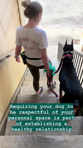 Teaching Your Dog Personal Space: A Safety Exercise Guide