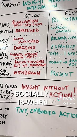 Exploring the Default Mode Network (DMN) of the Brain