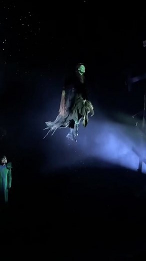 Germany’s “Defying Gravity” Reaction | Wizard of Oz Musical