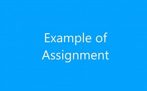 Assignment Example